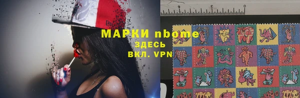 мдпв Снежногорск