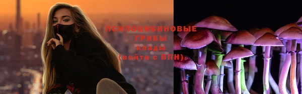 твердый Снежинск