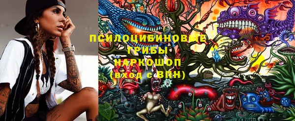 твердый Снежинск