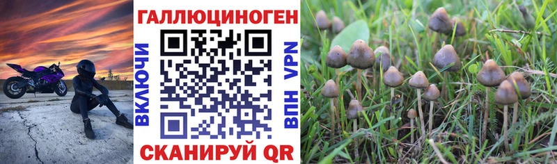 Псилоцибиновые грибы GOLDEN TEACHER  Купить закладки  Старая Купавна 